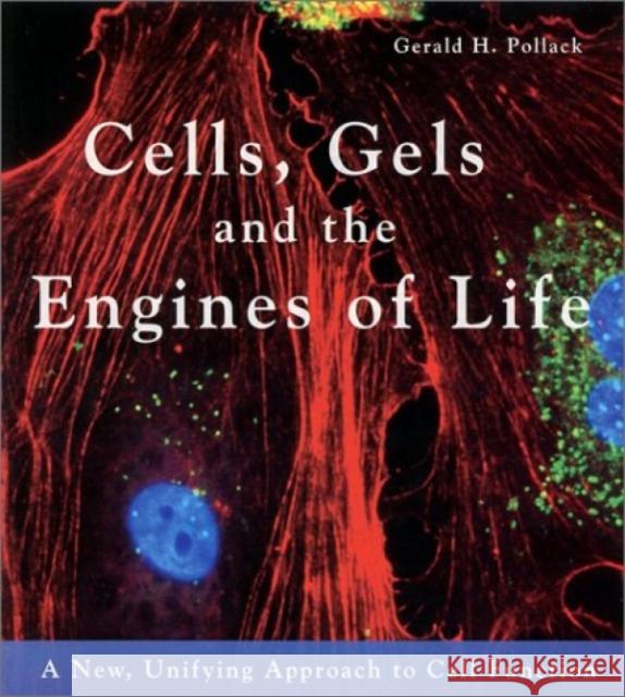 Cells, Gels and the Engines of Life Pollack, Gerald H. 9780962689529 SOS FREE STOCK - książka