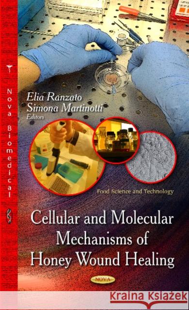 Cellular & Molecular Mechanisms of Honey Wound Healing Elia Ranzato, Simona Martinotti 9781631172519 Nova Science Publishers Inc - książka