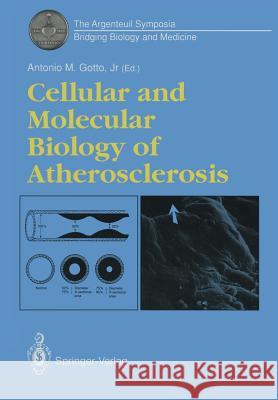 Cellular and Molecular Biology of Atherosclerosis Antonio M. Jr. Gotto 9781447119111 Springer - książka