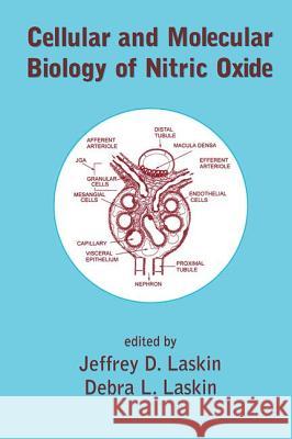 Cellular and Molecular Biology of Nitric Oxide Jeffrey D. Laskin Debra L. Laskin Laskin/Laskin 9780824719654 CRC - książka