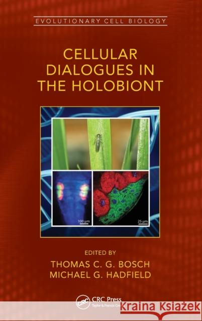 Cellular Dialogues in the Holobiont Thomas Bosch Michael G. Hadfield 9780367228811 CRC Press - książka