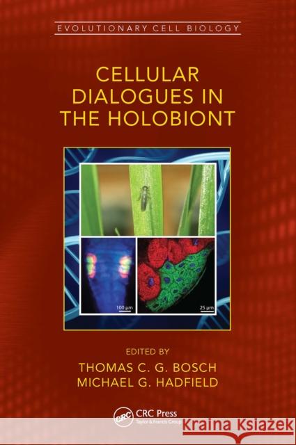 Cellular Dialogues in the Holobiont Thomas C. G. Bosch Michael G. Hadfield 9780367513757 CRC Press - książka
