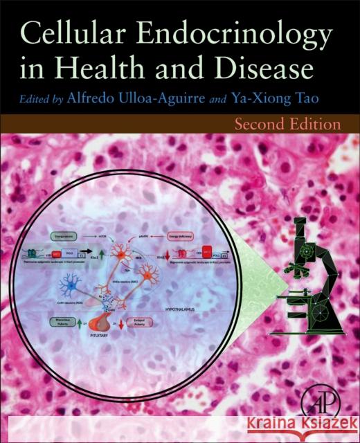 Cellular Endocrinology in Health and Disease Alfredo Ulloa-Aguirre P. Michael Conn Ya-Xiong Tao 9780128198018 Academic Press - książka