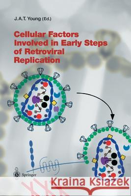 Cellular Factors Involved in Early Steps of Retroviral Replication John A. T. Young 9783642624056 Springer - książka