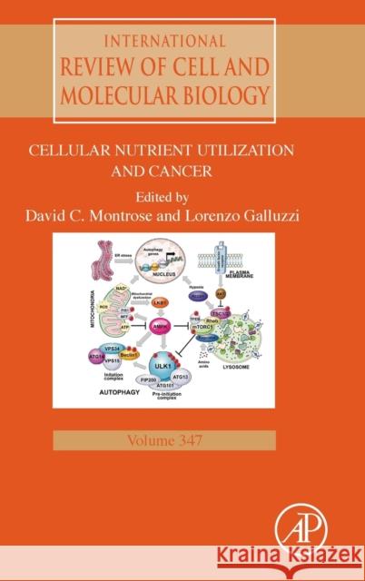 Cellular Nutrient Utilization and Cancer: Volume 347 Montrose, David 9780128184066 Academic Press - książka