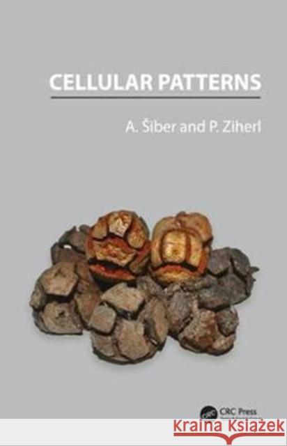 Cellular Patterns Antonio Siber Primoz Ziherl 9781482259612 CRC Press - książka