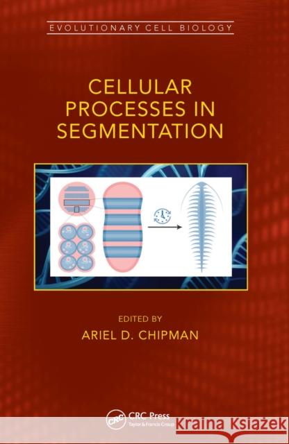 Cellular Processes in Segmentation Ariel Chipman 9781032242354 CRC Press - książka