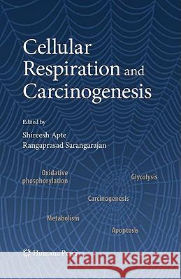 Cellular Respiration and Carcinogenesis Shireesh P. Apte Shireesh Apte Rangaprasad Sarangarajan 9781934115077 Humana Press - książka