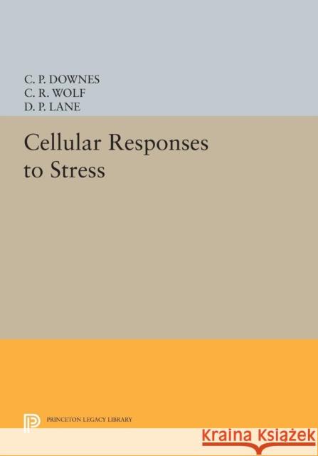 Cellular Responses to Stress Downes,  9780691607450 John Wiley & Sons - książka