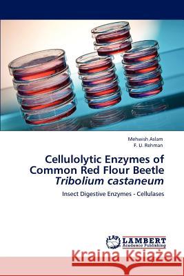 Cellulolytic Enzymes of Common Red Flour Beetle >i Aslam, Mehwish 9783848438594 LAP Lambert Academic Publishing - książka