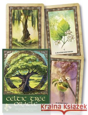 Celtic Tree Oracle Sharlyn Hidalgo Jimmy Manton 9780738754314 Llewellyn Publications - książka