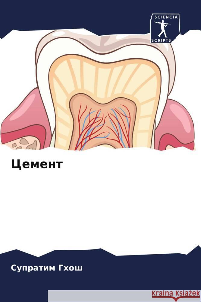 Cement Ghosh, Supratim 9786207985180 Sciencia Scripts - książka