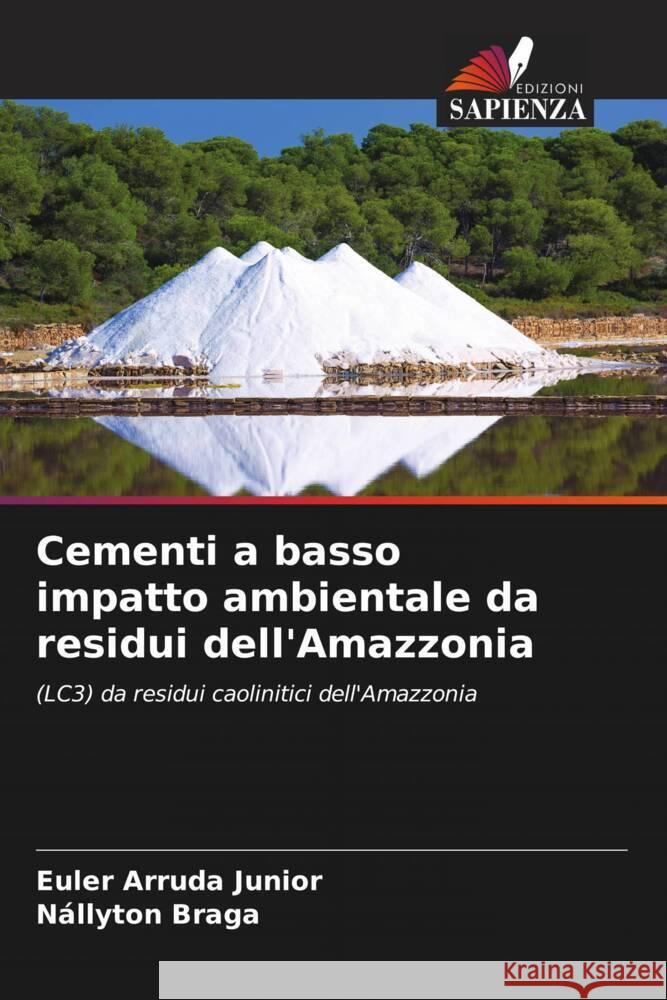 Cementi a basso impatto ambientale da residui dell'Amazzonia Euler Arruda Junior Nallyton Braga  9786206055037 Edizioni Sapienza - książka
