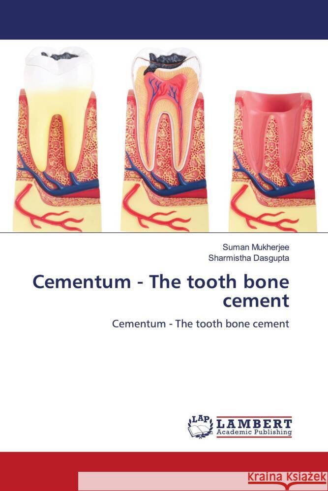 Cementum - The tooth bone cement Mukherjee, Suman, Dasgupta, Sharmistha 9786205517635 LAP Lambert Academic Publishing - książka