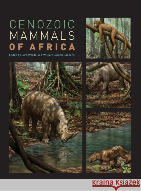 Cenozoic Mammals of Africa Lars Werdelin 9780520257214 University of California Press - książka