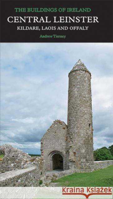 Central Leinster: Kildare, Laois and Offaly Tierney, Andrew 9780300232042 Yale University Press - książka