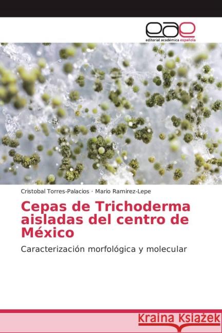 Cepas de Trichoderma aisladas del centro de México : Caracterización morfológica y molecular Torres-Palacios, Cristobal; Ramírez-Lepe, Mario 9783639781519 Editorial Académica Española - książka