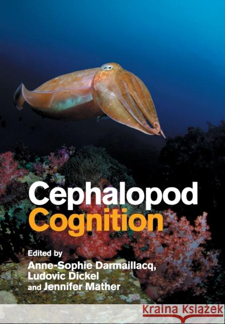 Cephalopod Cognition Anne-Sophie Darmaillacq Ludovic Dickel Jennifer Mather 9781108464697 Cambridge University Press - książka