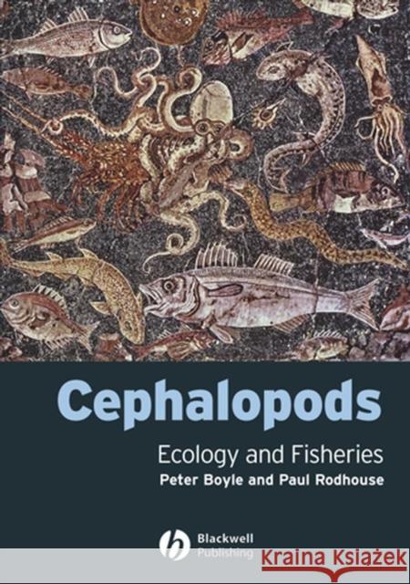 Cephalopods: Ecology and Fisheries Boyle, Peter 9780632060481 Blackwell Publishers - książka