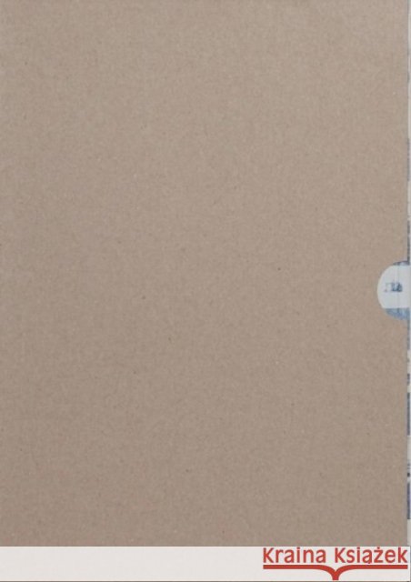 Ceramics - Paintings Tinus Vermeersch 9789493146242 APE - książka