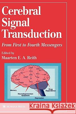 Cerebral Signal Transduction: From First to Fourth Messengers Reith, Maarten E. a. 9780896036086 Humana Press - książka