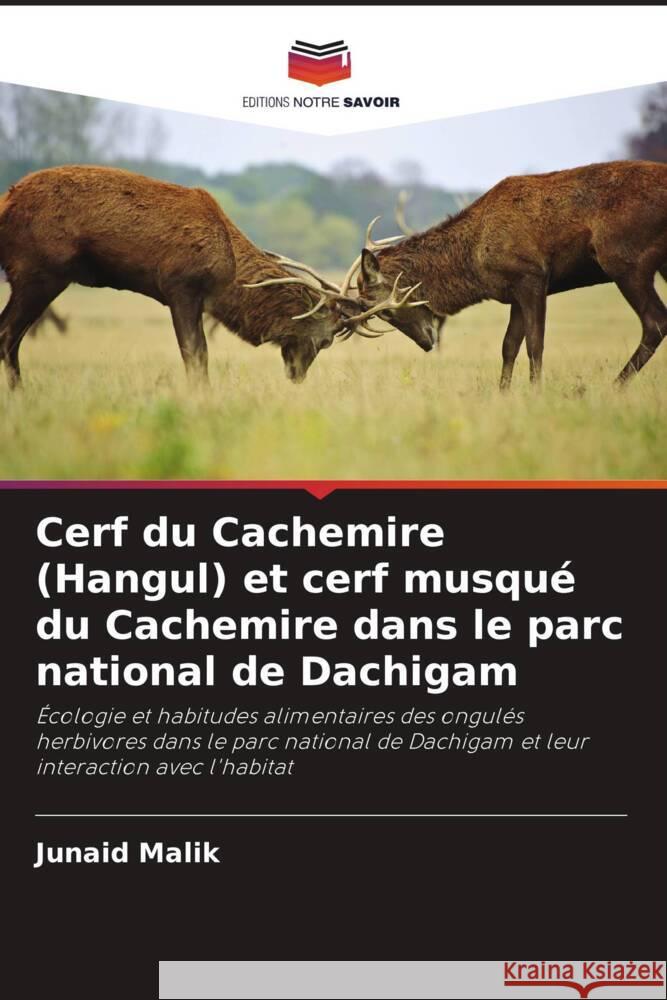 Cerf du Cachemire (Hangul) et cerf musqu? du Cachemire dans le parc national de Dachigam Junaid Malik 9786208047252 Editions Notre Savoir - książka