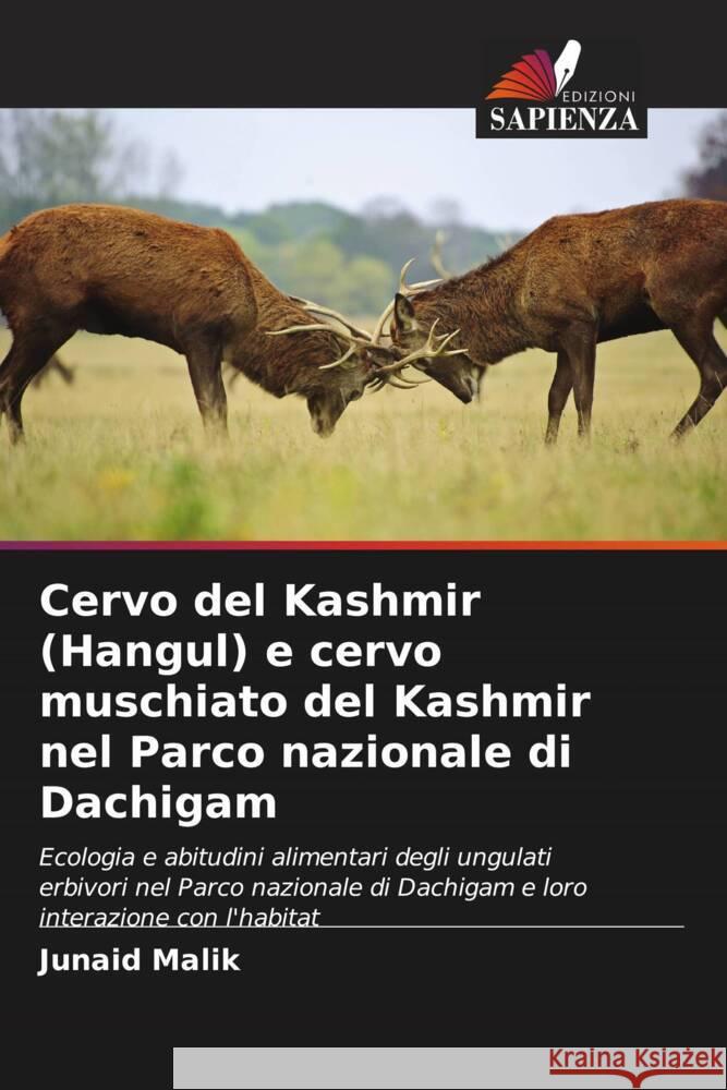 Cervo del Kashmir (Hangul) e cervo muschiato del Kashmir nel Parco nazionale di Dachigam Junaid Malik 9786208047276 Edizioni Sapienza - książka