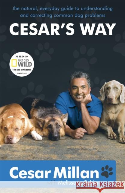 Cesar's Way Cesar Millan 9780340933305 Hodder & Stoughton - książka