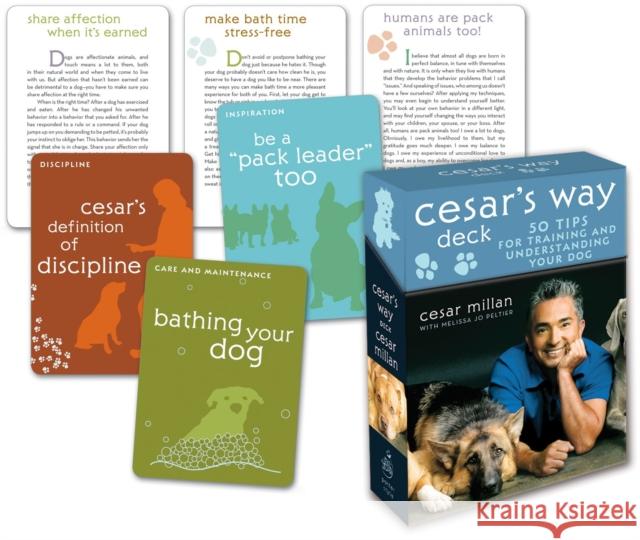 Cesar's Way Deck: 50 Tips for Training and Understanding Your Dog Millan, Cesar 9780307396327 Potter Style - książka