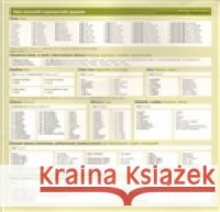 Česká gramatika v kostce - ukrajinská Lída Holá 9788087481073 Akropolis - książka