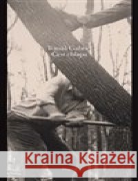 Čest chlapa Tomáš Gabriel 9788076452572 Dauphin - książka