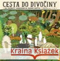 Cesta do divočiny Daniel Mizieliński 9788027502523 Host - książka