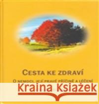 Cesta ke zdraví Gisela Weidner 9788090371842 Carolus - książka