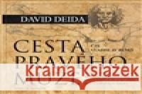 Cesta pravého muže David Deida 9788073703103 Synergie - książka