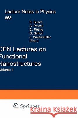 Cfn Lectures on Functional Nanostructures: Volume 1 Busch, Kurt 9783540229292 Springer - książka