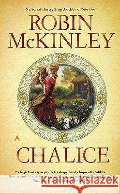 Chalice Robin McKinley 9780441018741 Ace Books - książka