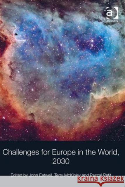 Challenges for Europe in the World, 2030 John Eatwell Terry McKinley Pascal Petit 9781472419255 Ashgate Publishing Limited - książka