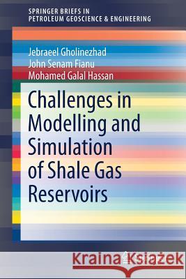Challenges in Modelling and Simulation of Shale Gas Reservoirs Jebraeel Gholinezhad John Fianu Mohamed Hassan 9783319707686 Springer - książka