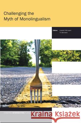 Challenging the Myth of Monolingualism Liesbeth Minnaard Till Dembeck  9789042038561 Editions Rodopi - książka
