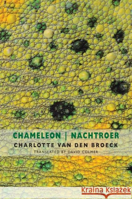 Chameleon | Nachtroer Charlotte Van den Broeck 9781780374475 Bloodaxe Books Ltd - książka