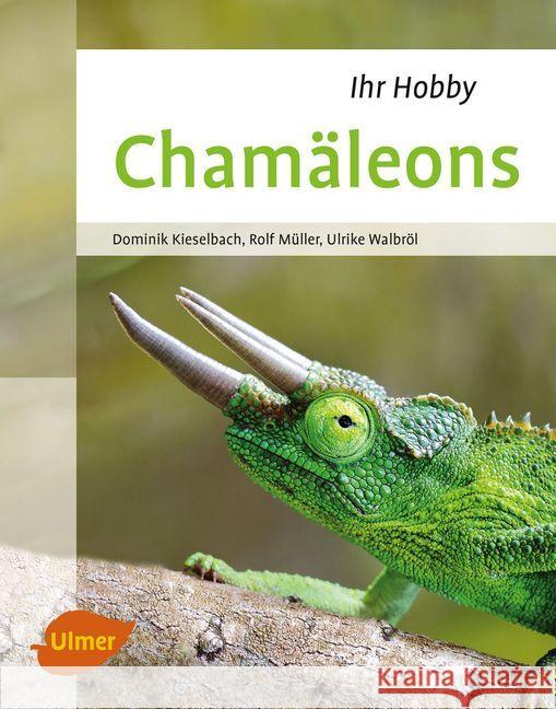 Chamäleons Kieselbach, Dominik; Müller, Rolf; Walbröl, Ulrike 9783800103959 Verlag Eugen Ulmer - książka