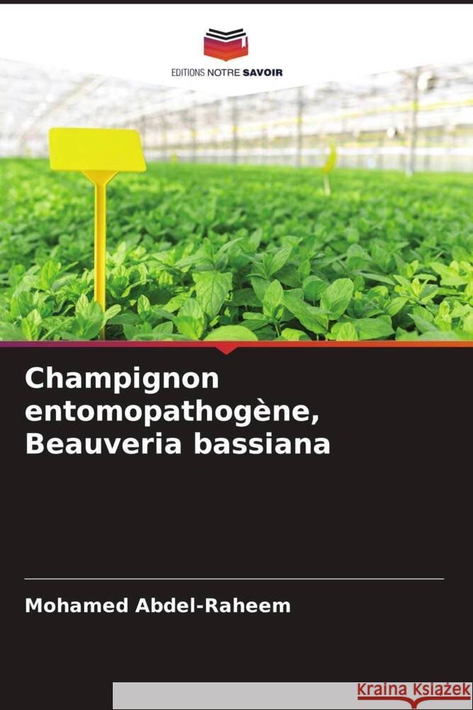Champignon entomopathogène, Beauveria bassiana Abdel-Raheem, Mohamed 9786204473604 Editions Notre Savoir - książka