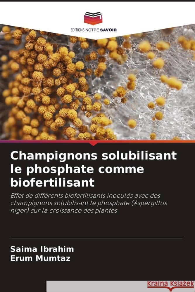 Champignons solubilisant le phosphate comme biofertilisant Saima Ibrahim Erum Mumtaz 9786207224470 Editions Notre Savoir - książka