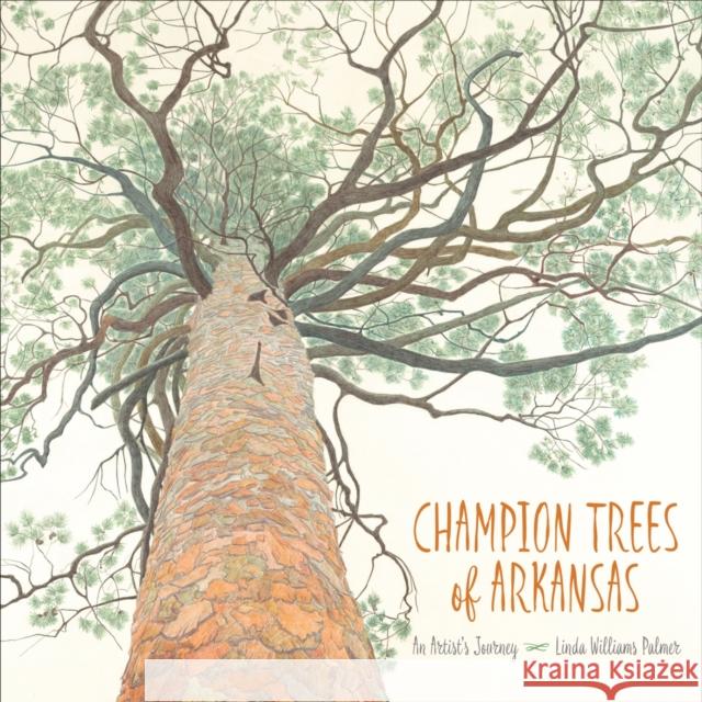 Champion Trees of Arkansas: An Artist's Journey Linda Williams Palmer 9781682260128 University of Arkansas Press - książka