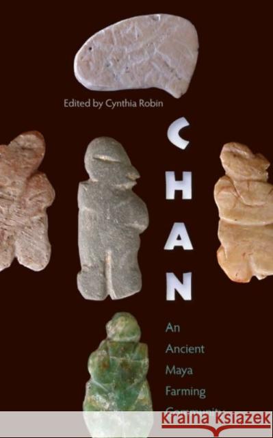 Chan: An Ancient Maya Farming Community Robin, Cynthia 9780813049632 University Press of Florida - książka