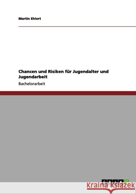 Chancen und Risiken für Jugendalter und Jugendarbeit Ehlert, Martin 9783656005599 Grin Verlag - książka