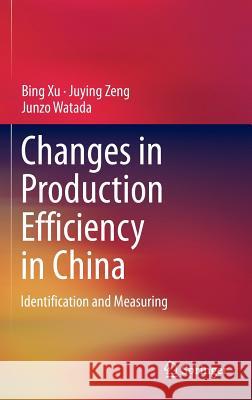 Changes in Production Efficiency in China: Identification and Measuring Xu, Bing 9781461477198 Springer - książka