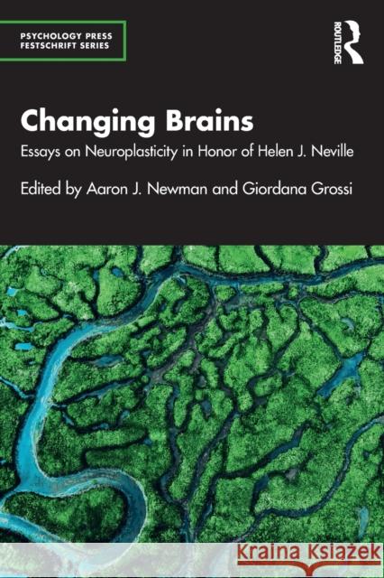 Changing Brains: Essays on Neuroplasticity in Honor of Helen J. Neville Newman, Aaron J. 9780367358693 Taylor & Francis Ltd - książka