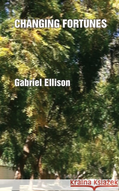 Changing Fortunes Gabriel Ellison 9789982240956 Gadsden Publishers - książka