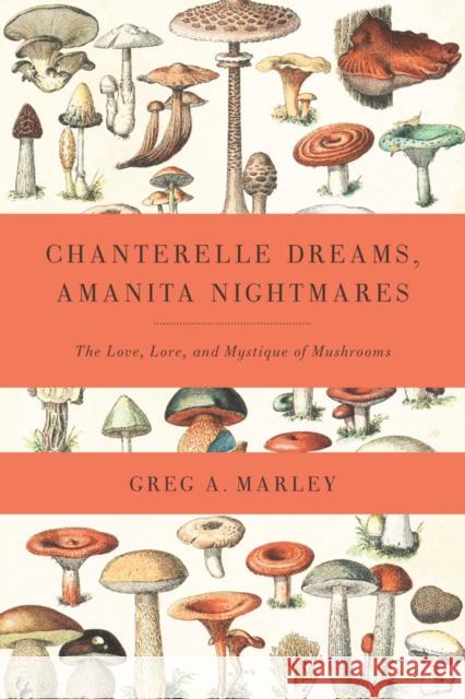 Chanterelle Dreams, Amanita Nightmares: The Love, Lore, and Mystique of Mushrooms Greg Marley 9781603582148 Chelsea Green Publishing Co - książka